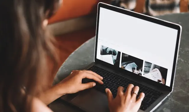 Demonstração do sistema por videochamada